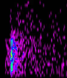 800,gif.gif